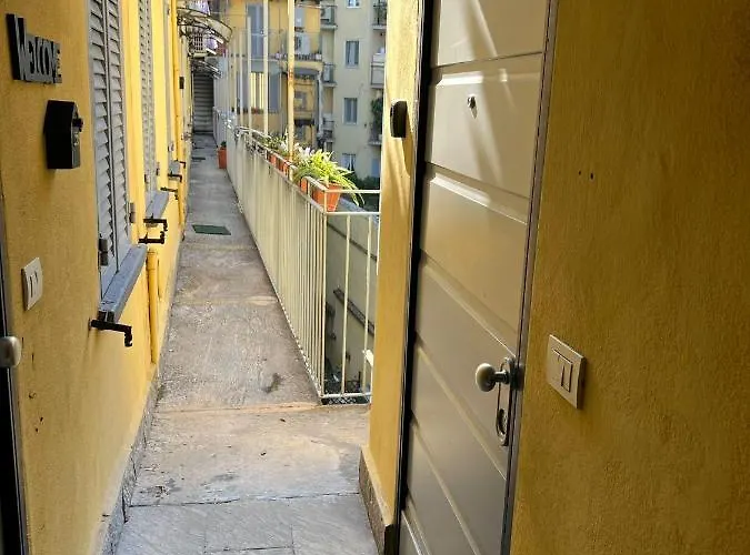 Arco Pace